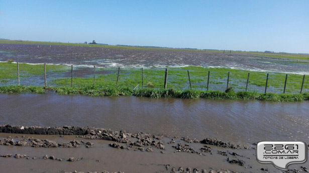 Campos inundados en Lobería