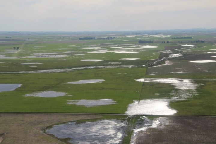 Campos inundados loberia (1)