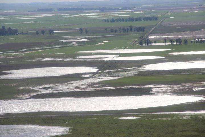 Campos inundados loberia (10)