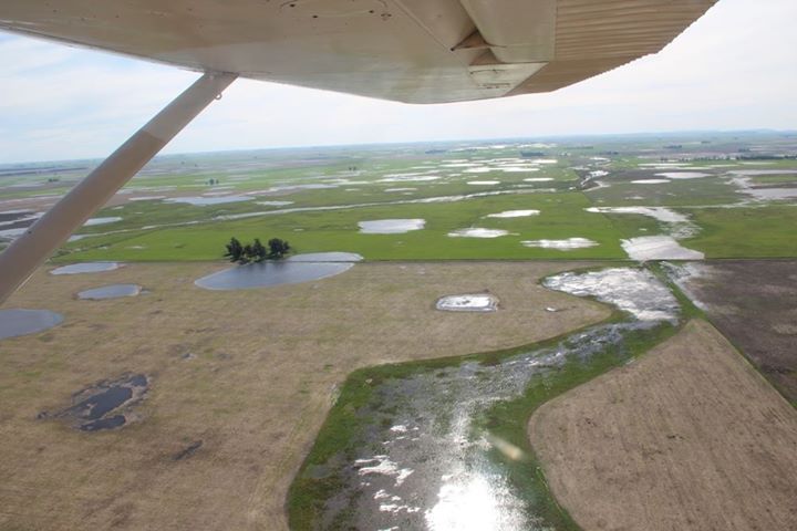 Campos inundados loberia (6)