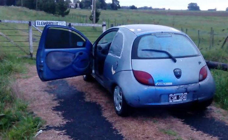 cuatrerismo-tres-novillos-en-un-ford-ka