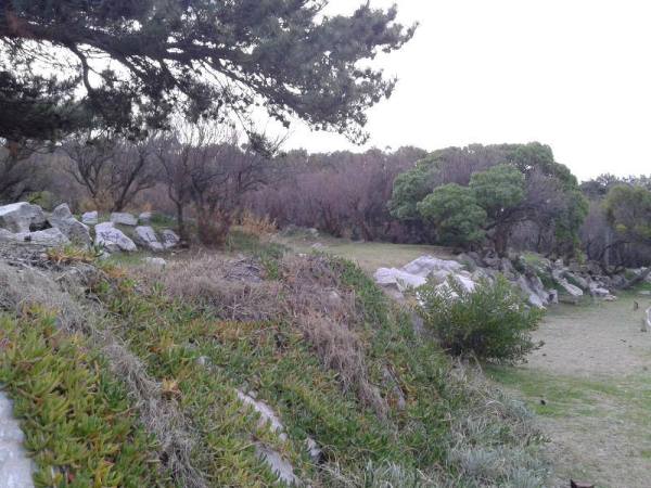 Necochea Parque Jardín rocas