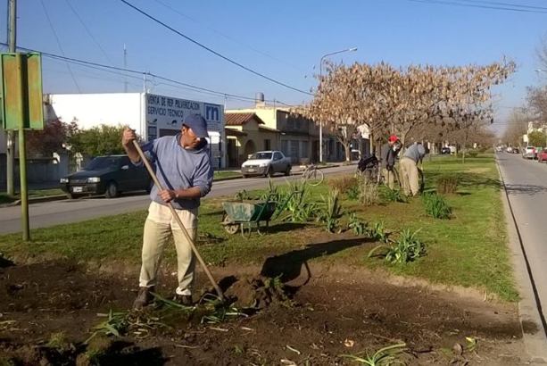 Reubican plantas en esquinas de avenida Campos