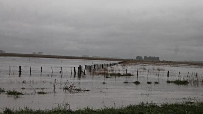 emergencia agropecuaria campos