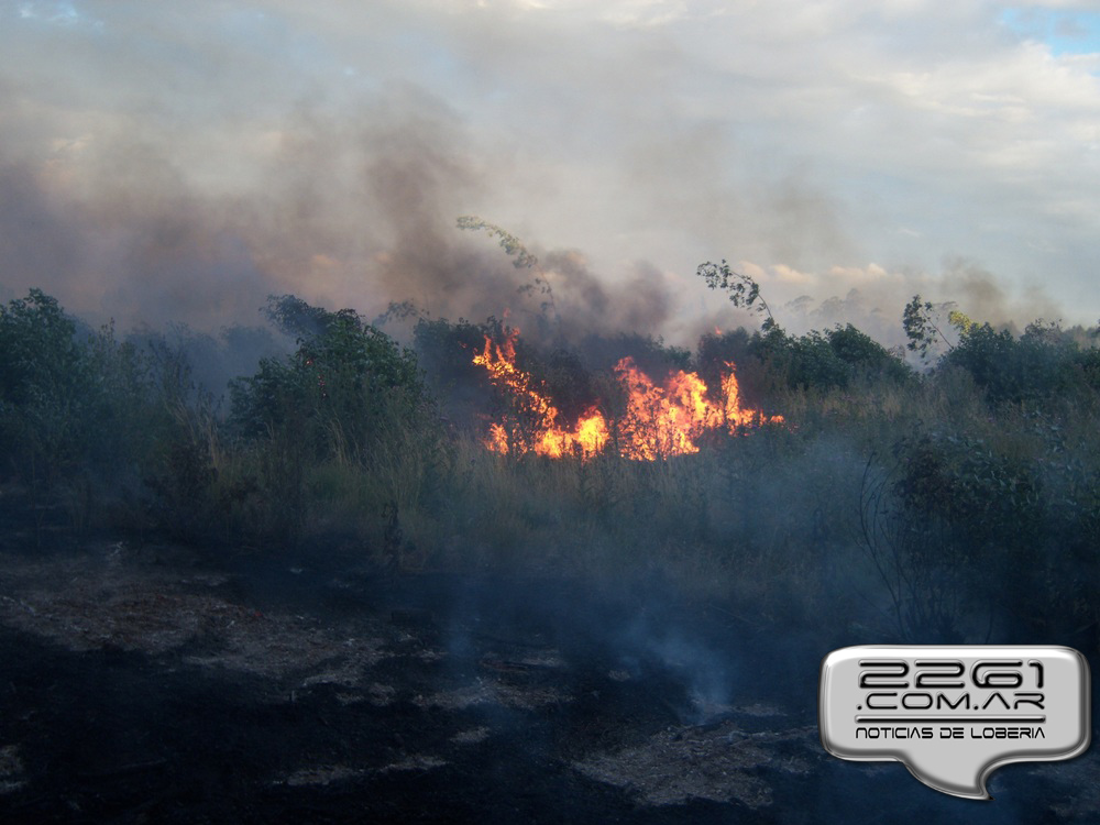 incendio loberia1