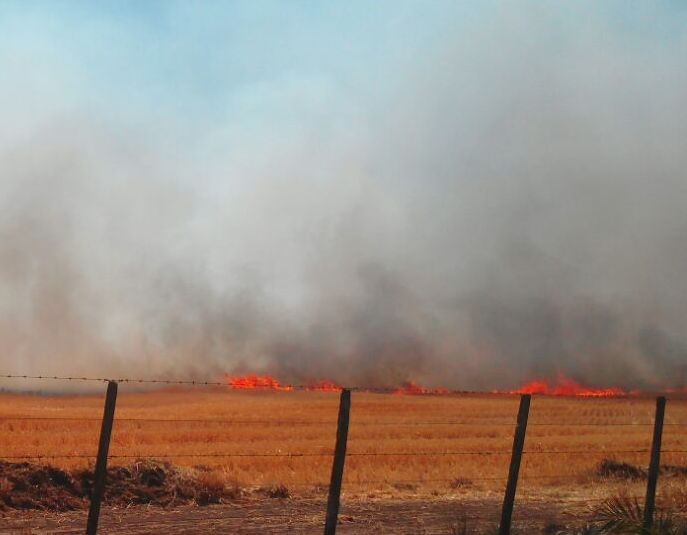 incendios-zona-rural