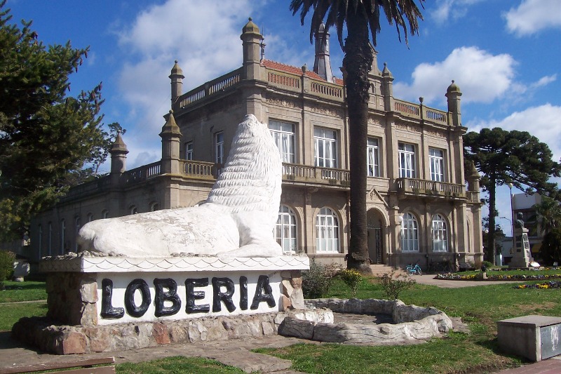 municipalidad loberia