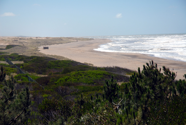 playas arenas verdes