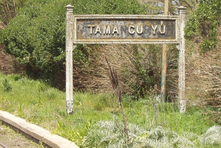 tamangueyu