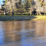 OLA POLAR: EL LAGO DEL PARQUE MUNICIPAL SE CONGELÓ